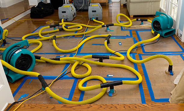 Professional Water Extraction technician working in Green Springs, OH